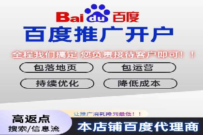 百度竞价代理操作手册：成功案例分析